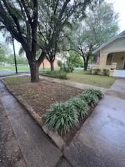 All Photos for Oviedo Land & Garden in Bastrop, TX