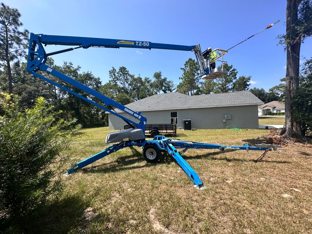 Our Land Clearing service helps homeowners effortlessly remove trees, shrubs, and debris from their property to create more space and enable new landscaping projects. Contact us for a free consultation today! for Tree Amigos Tree Service in Ocala, Fl