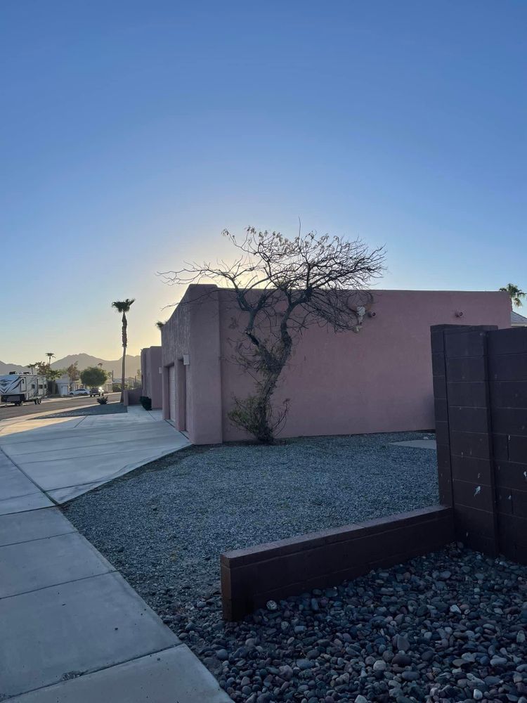 All Photos for Oliver L. Palm & Tree services in Yuma County, AZ