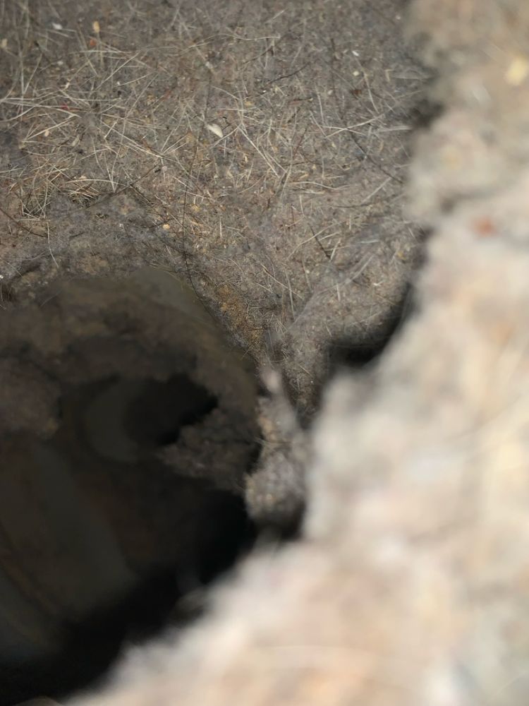 All Photos for Soapy Suds Services in St. Charles, IL