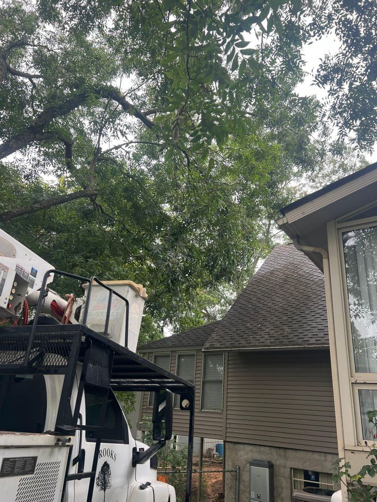 All Photos for Brooks Tree Service in Casar, NC