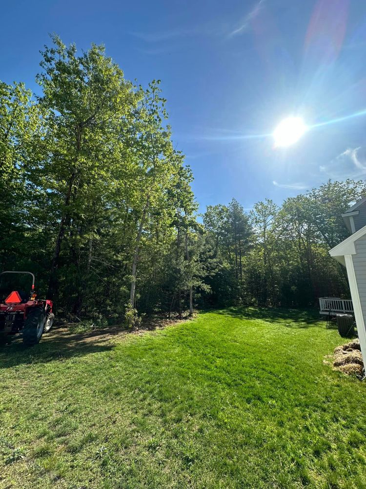 Tree Removal for Leaf and Limb in Townsend, MA