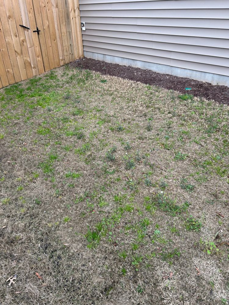All Photos for Everett Lawn Care in Raleigh, NC