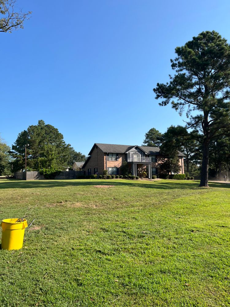 All Photos for JC Land and Tree Service in Kilgore, TX