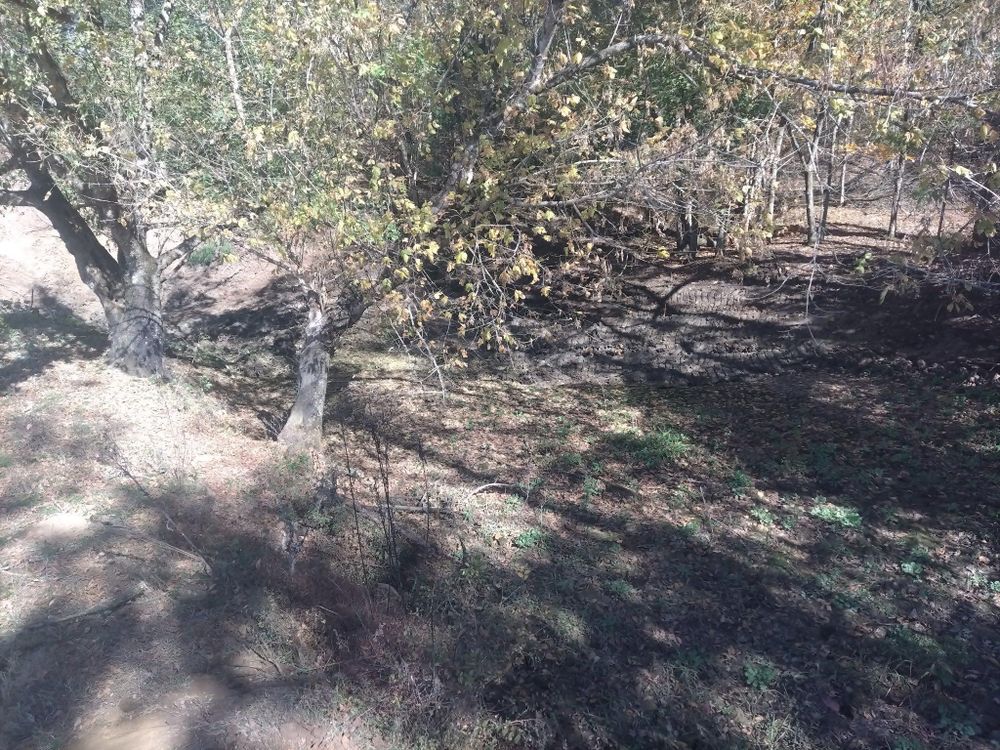 All Photos for King of Dirt in Cornersville, TN