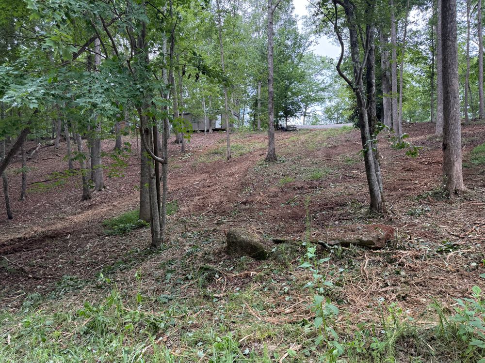 All Photos for T Crane Grading LLC in Clarkesville, GA