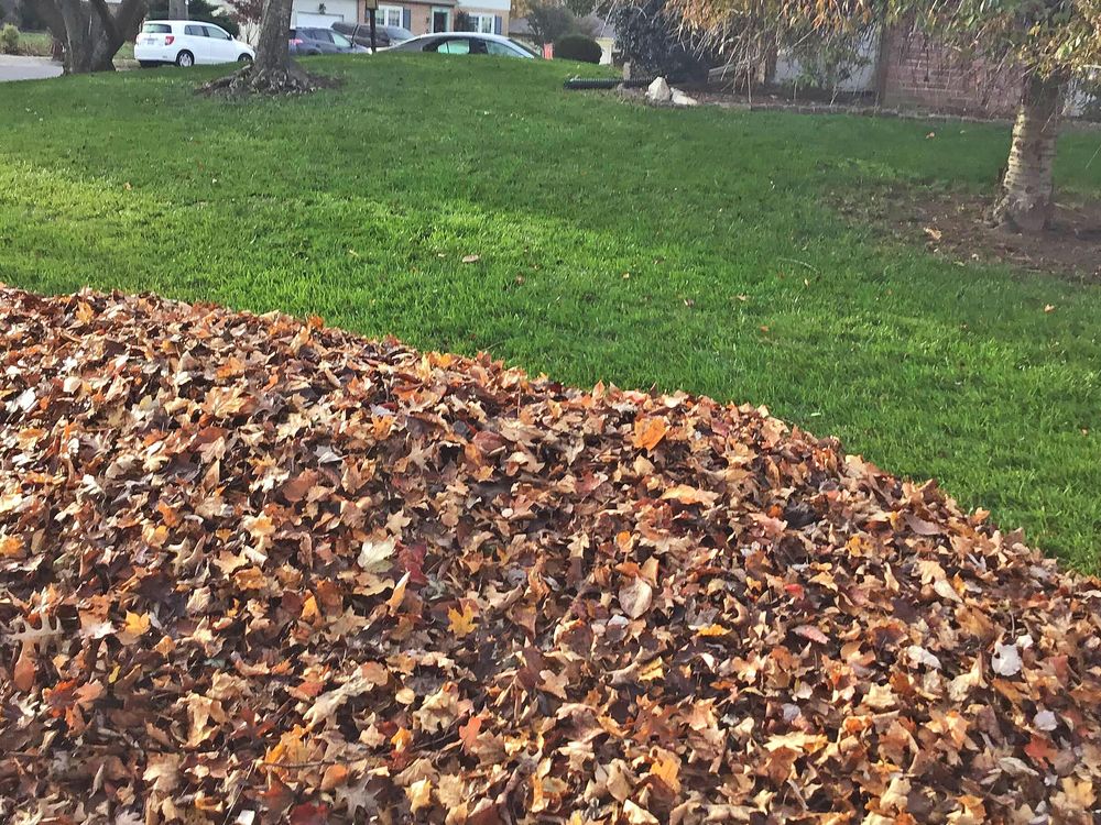 Our Fall Clean Up service efficiently removes leaves and debris, preps your garden for winter, and ensures a healthy start for spring. Enjoy a pristine yard without lifting a finger! for Summit Landscape & Const in Ithaca, NY