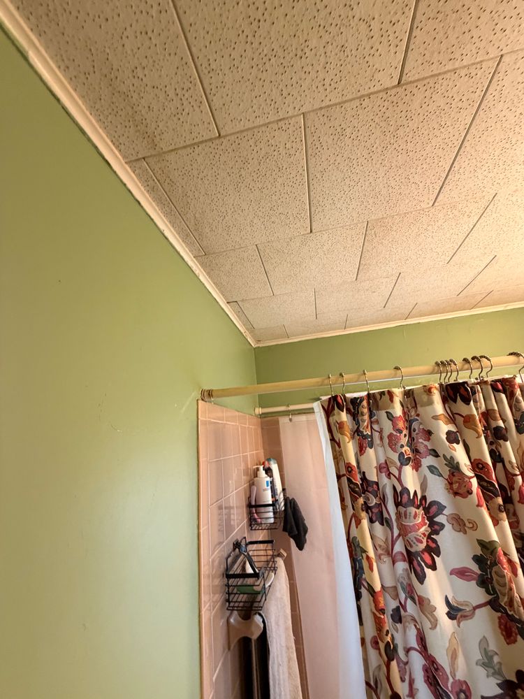 All Photos for Littlefield Painting in Brockton, MA