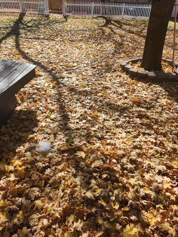 All Photos for Manscaped Lawn Care in Firestone, CO