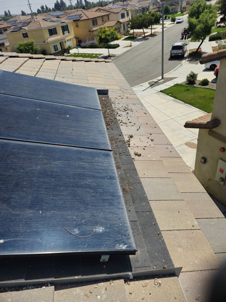 All Photos for The Window & Solar Ninjas in Riverside County, CA
