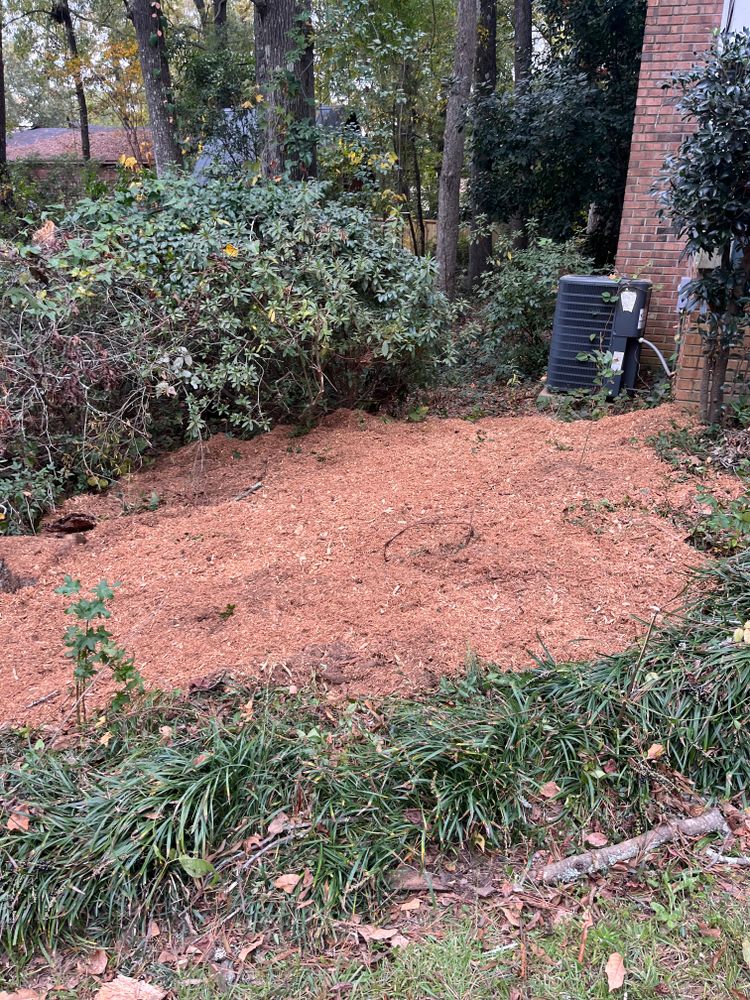 Stump Grinding for Otis Lee Stump Grinding LLC in Elgin, SC