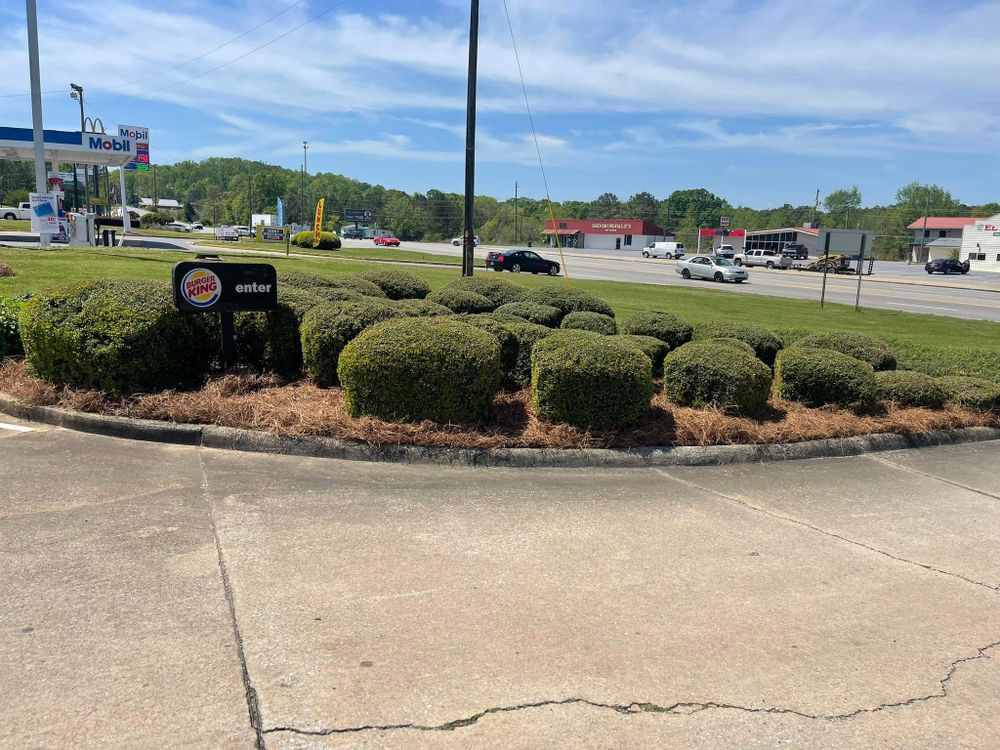 All Photos for Greenwood Lawn & Landscaping LLC in Talladega, Alabama