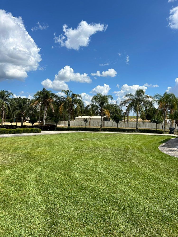 All Photos for Estrada All Pro Lawn Service in Auburndale, Florida