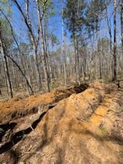 All Photos for TD Dirtworks in Tracy City, TN