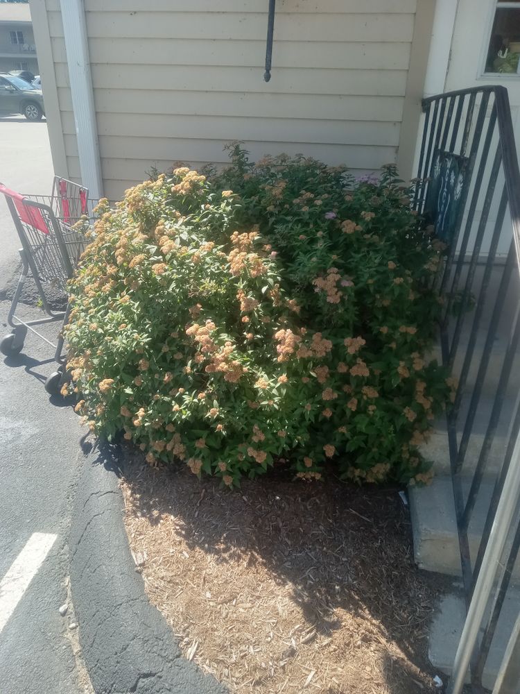 All Photos for K Brown's Property Maintenance in Pittsfield, MA