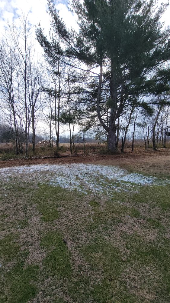 All Photos for Z's Land Management & Forestry Mulching in Smithville, TN