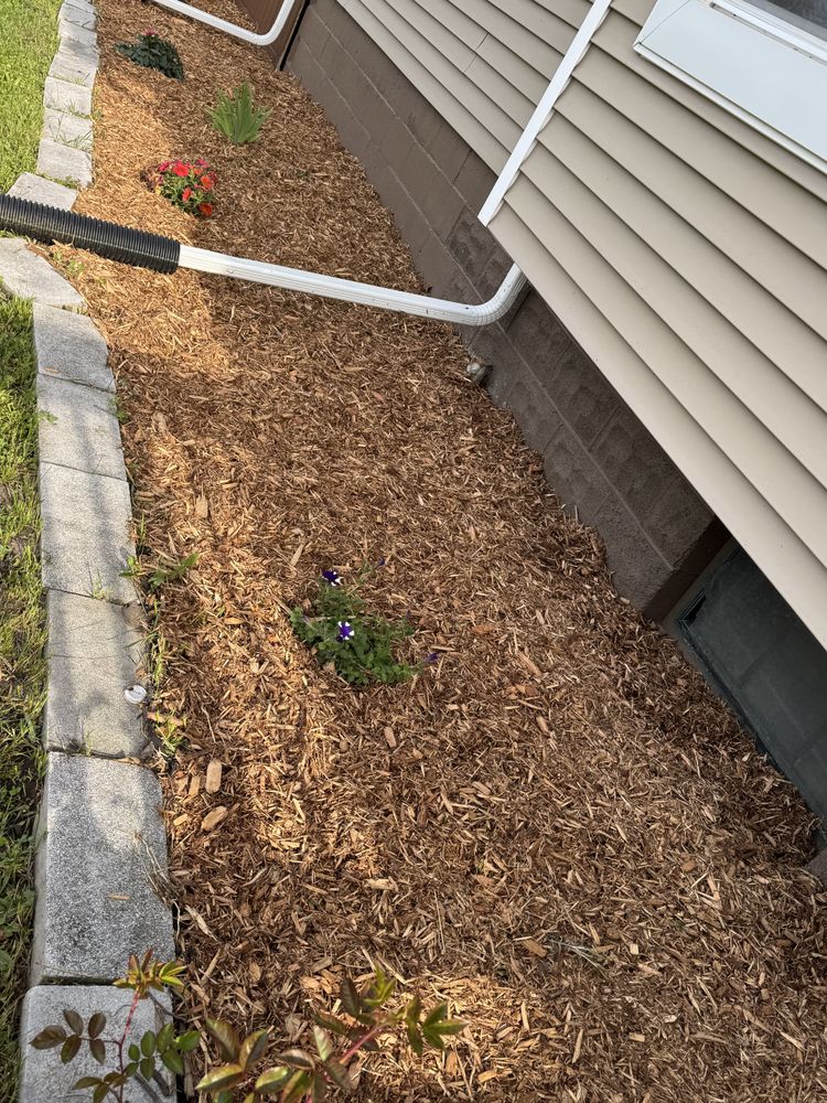 Landscaping Lawn Care for Daugherty's Tough Lawn Care in Essexville, MI