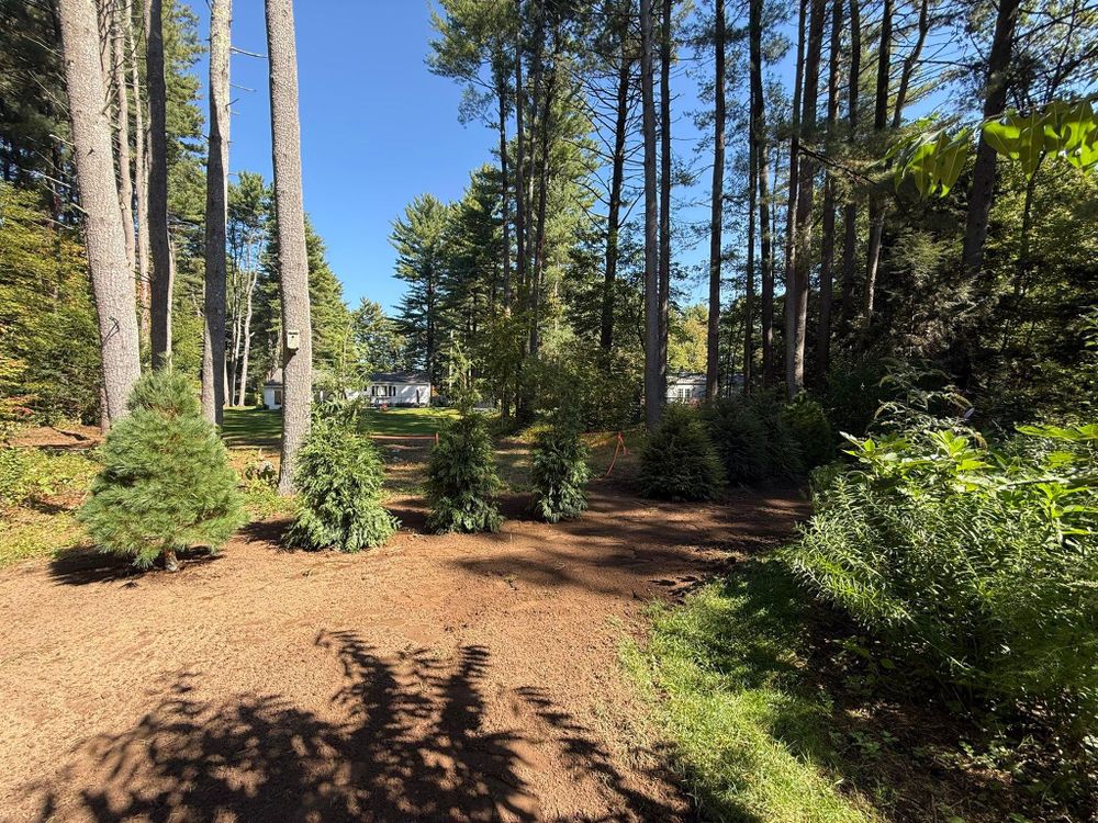 All Photos for Lennon Land Management in Suffield, CT