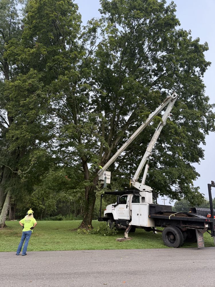 All Photos for Lightning Tree Service in Corydon, IN