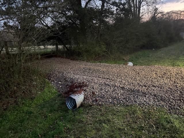 All Photos for Tri-P Services in Athens, GA