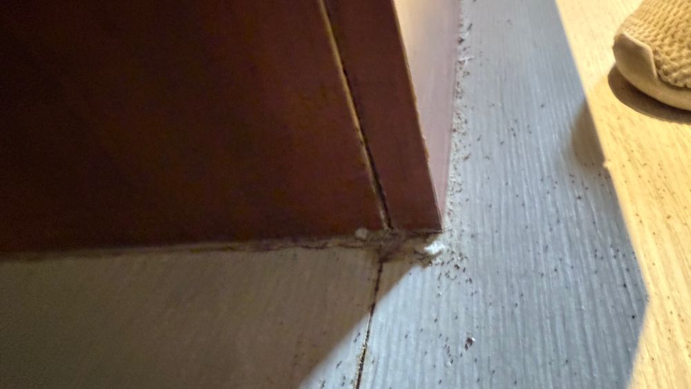 All Photos for Surplus Public Adjusters in Miami-Dade County, FL