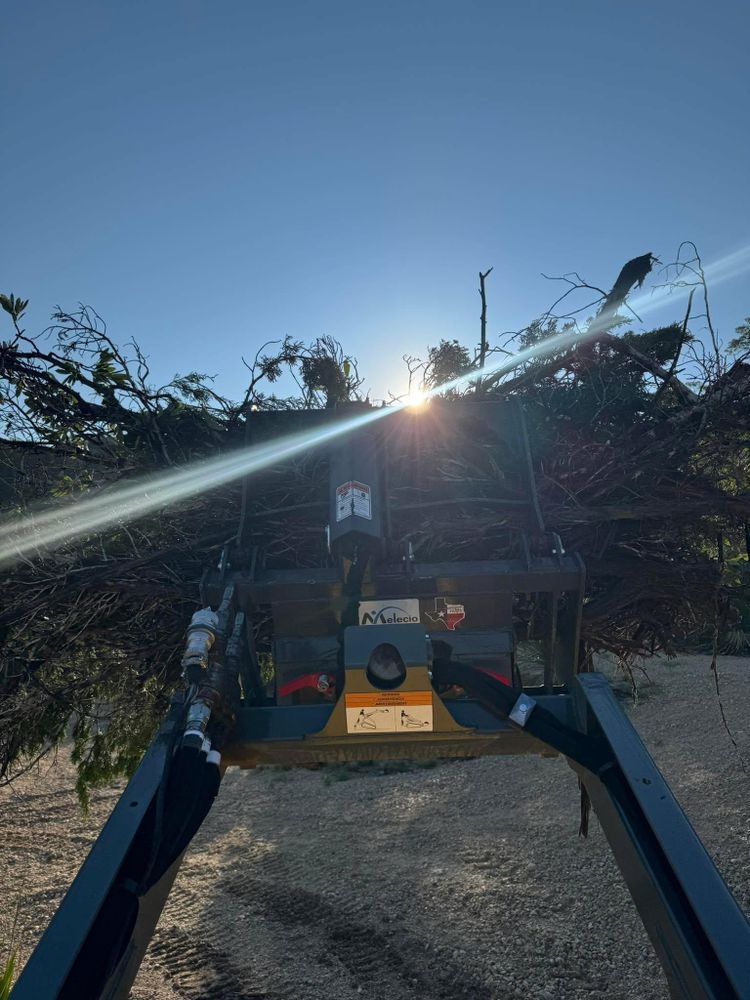 All Photos for Z’s Trees LLC in Grey Forest, TX