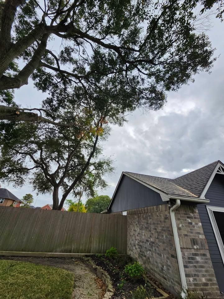 All Photos for Bonita Bay Lawn Maintenance LLC in La Porte, TX