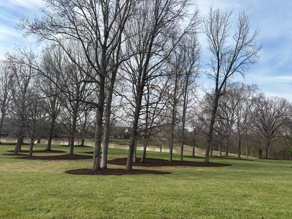 All Photos for Southern Turf & Landscape in Concord, NC