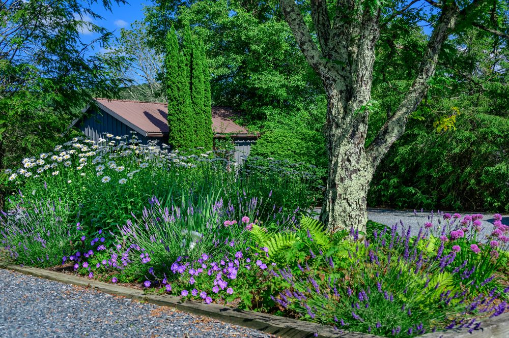 All Photos for Sustainable Lawn and Landscape in Banner Elk, NC