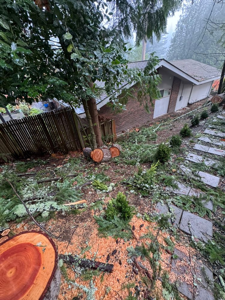 All Photos for Tony's Remodeling & Painting in Renton, WA