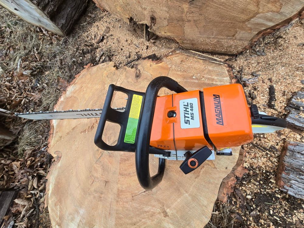All Photos for D Hale Tree Service in Dexter, MI