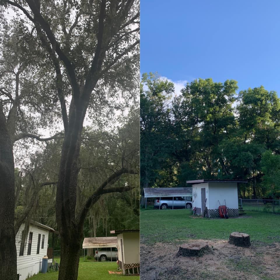 Tree Removal or Trimming  for All American Property Services in High Springs, FL