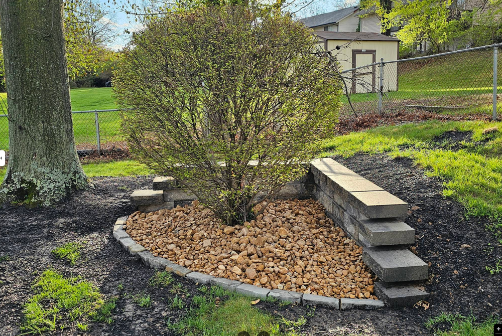 All Photos for Jackson Lawn Services LLC in St Louis, MO