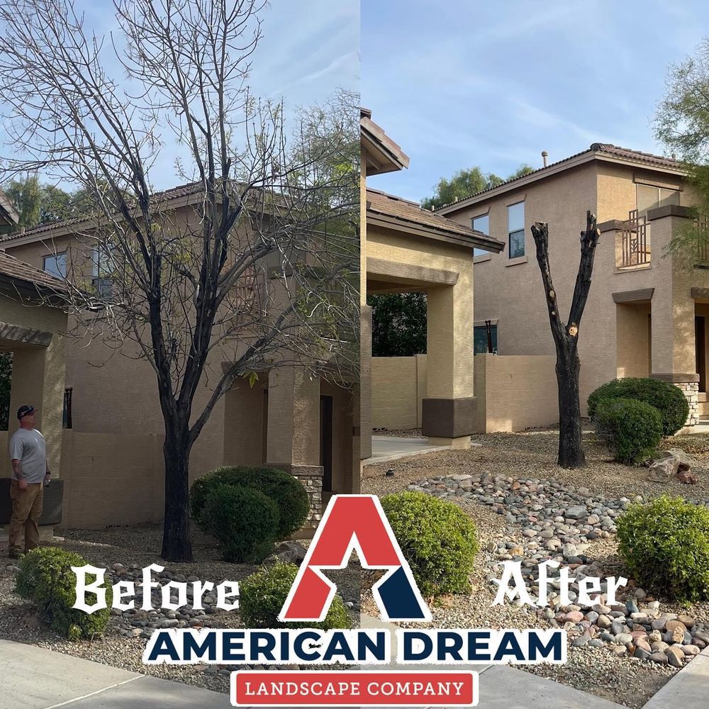 Commercial Lawn Maintenance for American Dream Landscape Company in Surprise, AZ