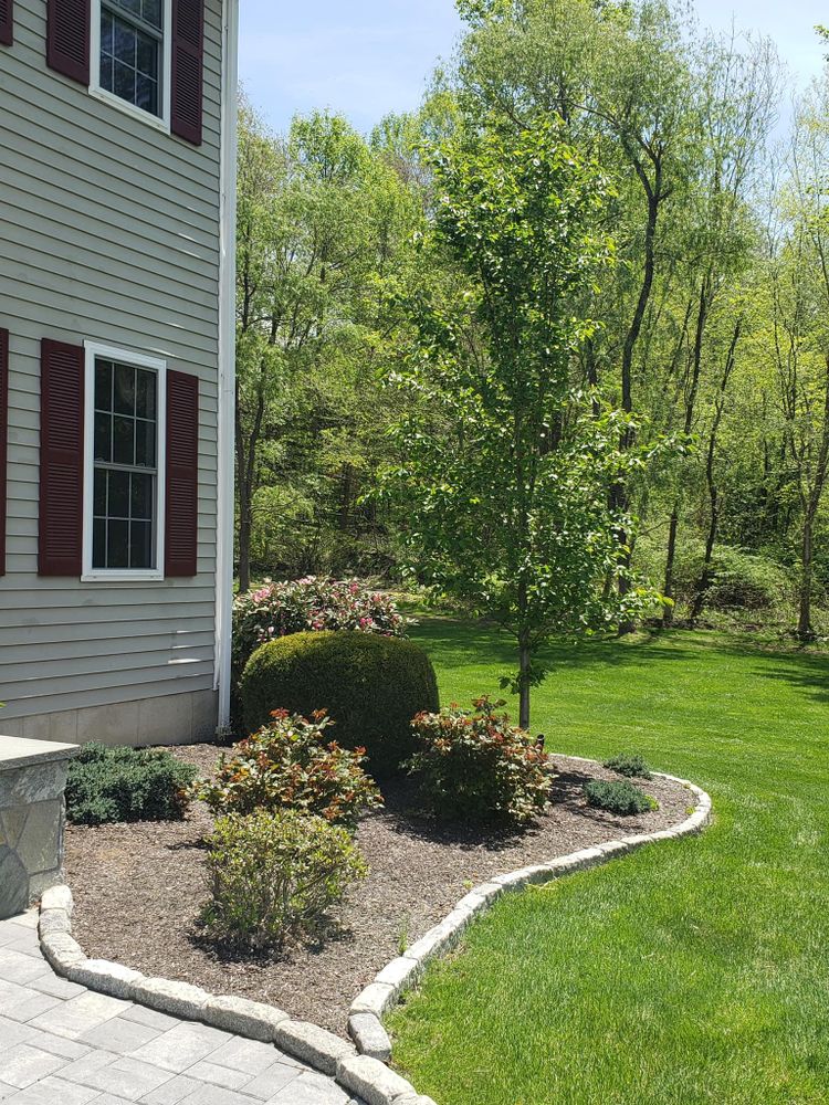 All Photos for Matty L's Lawn and Tree Care in Monroe, CT