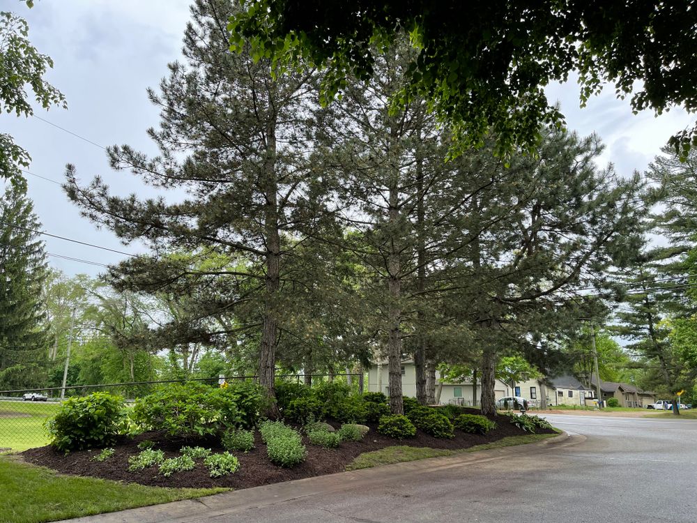 Landscape Maintenance for Steed's Lawn and Landscape LLC in White Lake, MI