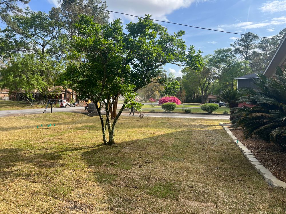 All Photos for Brandon Woodard’s Lawncare in Ludowici, GA