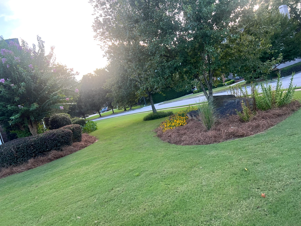 Lawn Maintenance for Adams Landscape Management Group LLC. in Loganville, GA