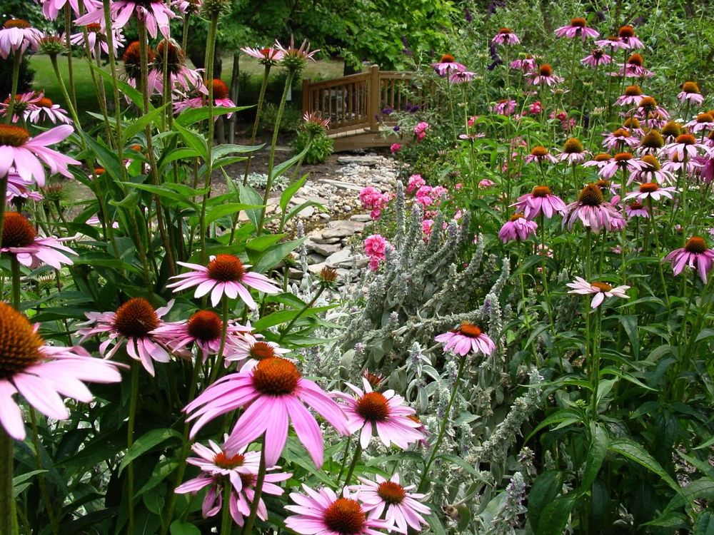 All Photos for M&M Home Solutions in Sterling, VA