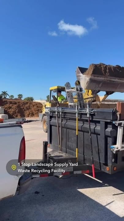 All Photos for Damian’s Tree Care in Sarasota, FL