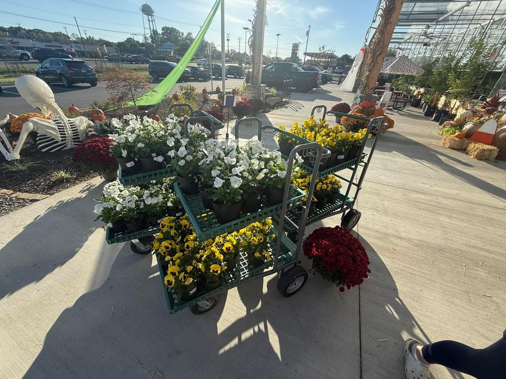 All Photos for Ridgewood Lawn Care LLC in Fredericksburg, VA