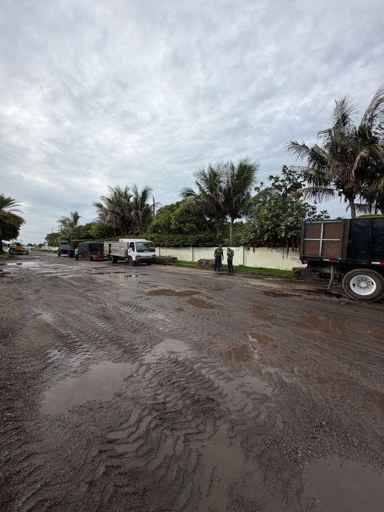 All Photos for Nurry Tree Services in Miami, FL
