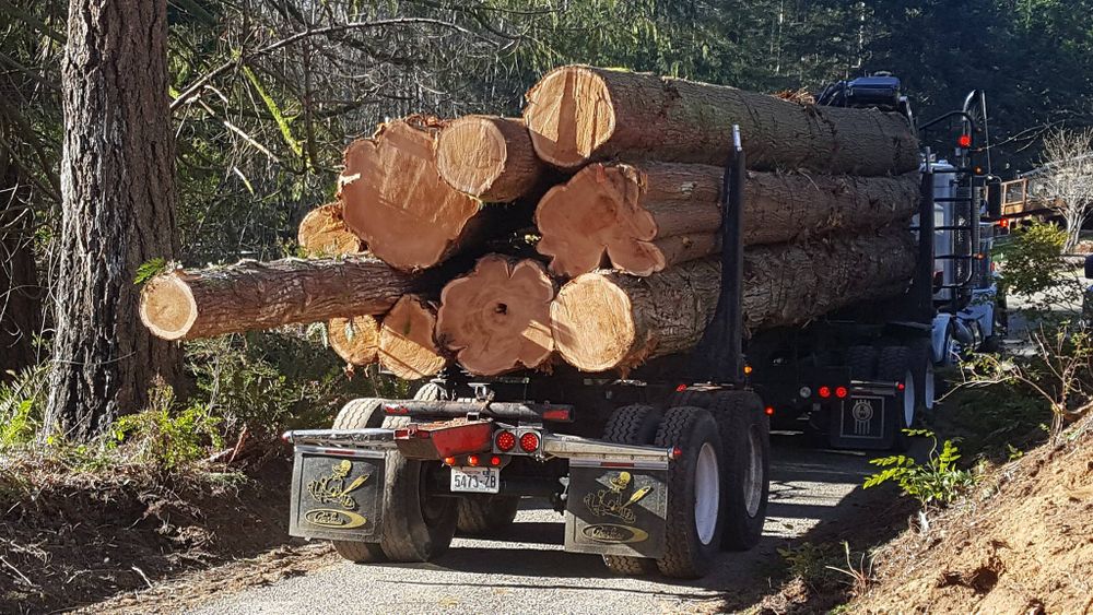 All Photos for Workman Contracting in Shelton, WA