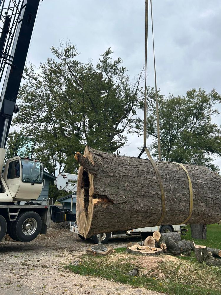 Tree Removal for Fransen's Tree Service  in Freeport, IL