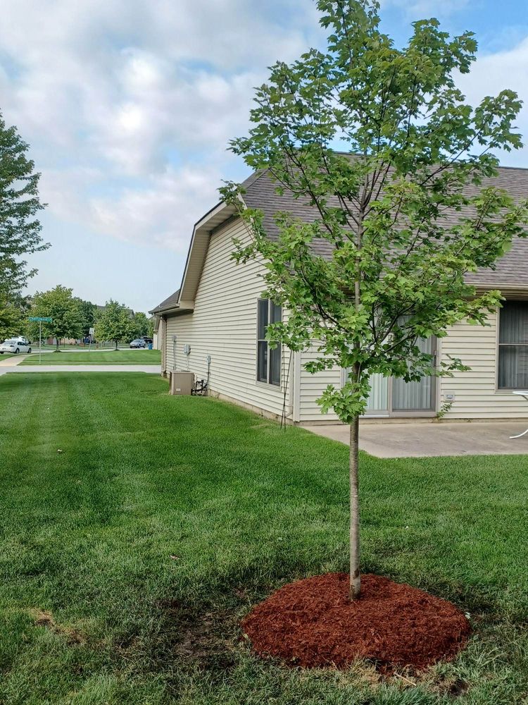 All Photos for Prime Landscaping 219 in Lake Station, IN