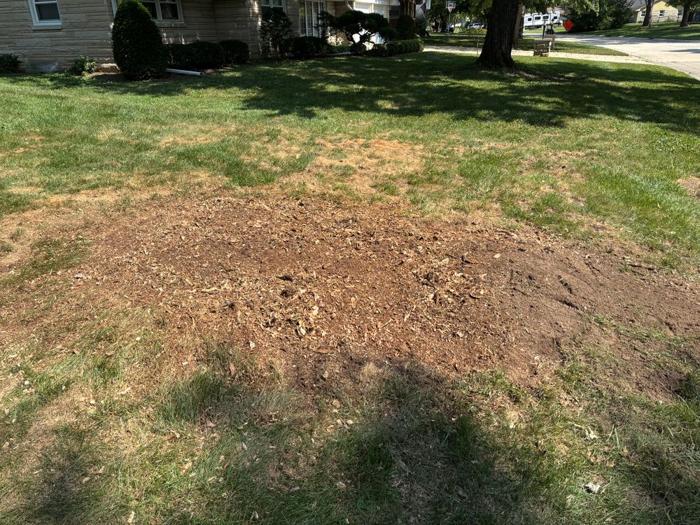 All Photos for Conrad's Stump Removal in Columbus, IN