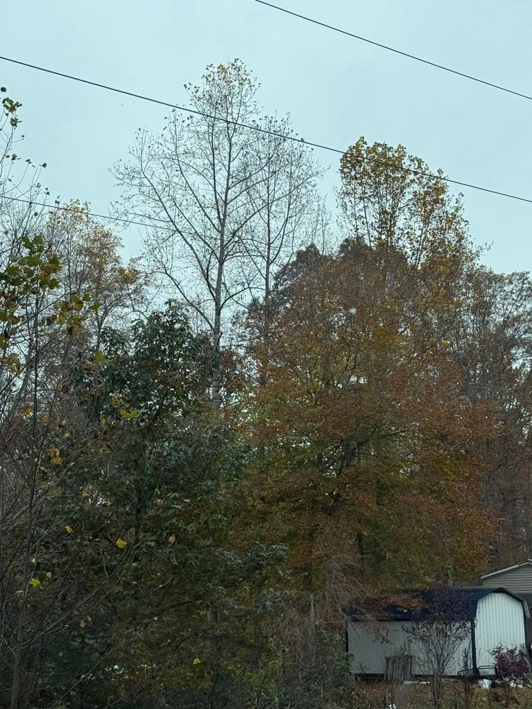 All Photos for True Grit Hauling in Athens, TN