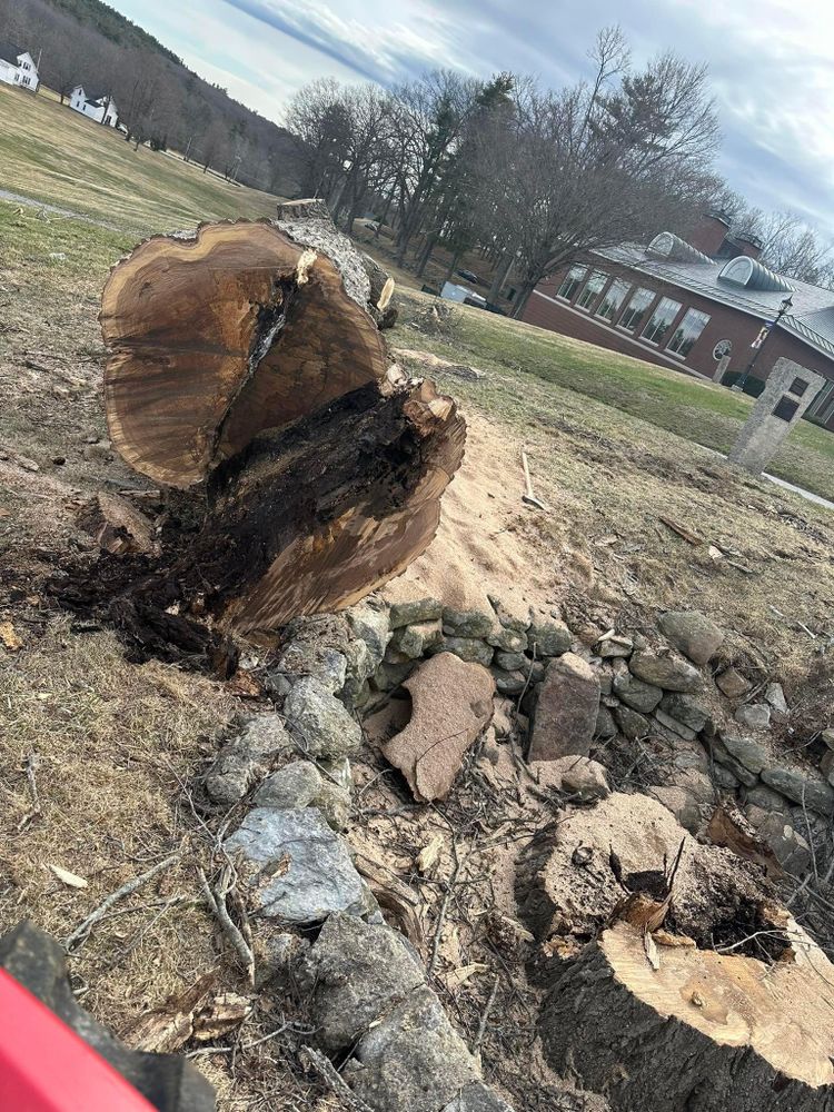 All Photos for Leaf and Limb in Townsend, MA