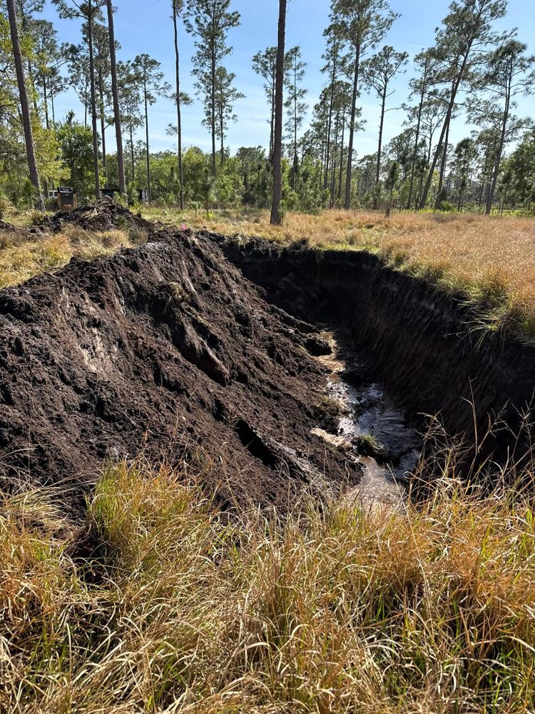 All Photos for Heverly Land Solutions in Winter Haven, FL
