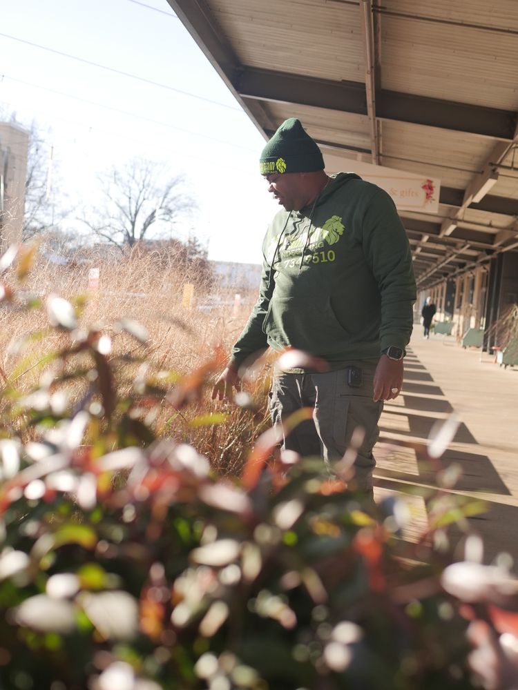 All Photos for Kingdom Landscaping in Memphis, TN